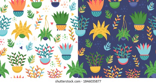 Nice patterns set with colorful plants and pots on white background and dark. Hand drawn cute herbals in the home garden. Cute sticks, leaves and other floral elements.
