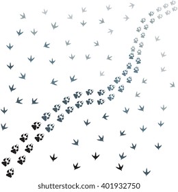 Nice picture of  traces of birds and animals on a white background
