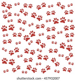 Nice picture of wild animal traces on a white background