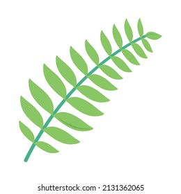 nice plant design over white