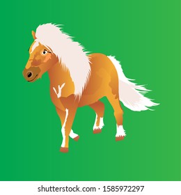 Nice pony  horse running cheerful. Vector illustration isolated on green background.