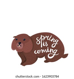 Nice pretty  groundhog character Isolated on white. Brown color  rodent with white handwritten lettering  on his body - Spring is coming. Nice caption, quote. Creative illustration. Full length