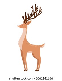 nice reindeer design over white