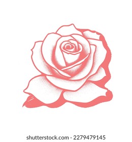 Nice Roses Vector artwork coloring page, coloring book, leaves, black outline hand drawn sketch. Vector element for natural, wedding design, plant, botanical illustration, coloring book, line art