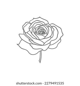 Página de coloreado de arte de Nice Roses Vector, libro de colorear, esbozo negro dibujado a mano. Elemento vectorial para natural, diseño de bodas, planta, ilustración botánica, libro de colorear, arte de línea.