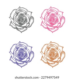 Nice Roses  Vector artwork coloring page, coloring book, black outline hand drawn sketch. Vector element for natural, wedding design, plant, botanical illustration, coloring book, line art.