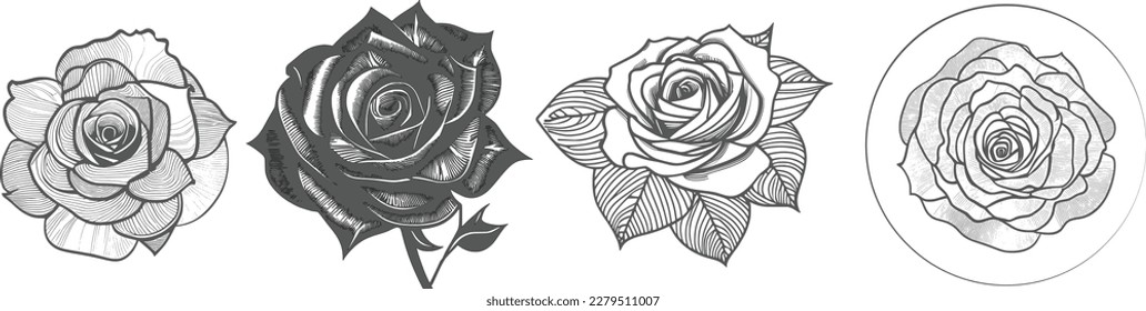Nice Roses  Vector artwork coloring page, coloring book, black outline hand drawn sketch. Vector element for natural, wedding design, plant, botanical illustration, coloring book, line art.
