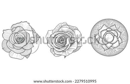 Nice Roses  Vector artwork coloring page, coloring book, black outline hand drawn sketch. Vector element for natural, wedding design, plant, botanical illustration, coloring book, line art.