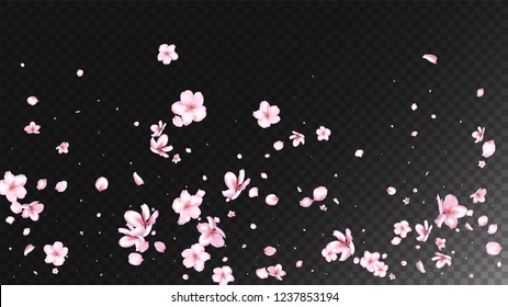 Nice Sakura Blossom Isolated Vector. Pastel Falling 3d Petals Wedding Frame. Japanese Oriental Flowers Wallpaper. Valentine, Mother's Day Feminine Nice Sakura Blossom Isolated on Black