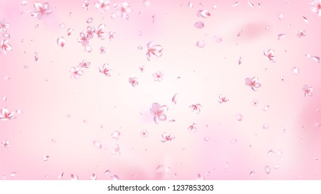 Nice Sakura Blossom Isolated Vector. Pastel Showering 3d Petals Wedding Design. Japanese Blurred Flowers Wallpaper. Valentine, Mother's Day Pastel Nice Sakura Blossom Isolated on Rose