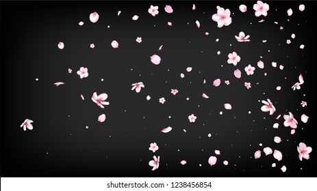 Nice Sakura Blossom Isolated Vector. Summer Flying 3d Petals Wedding Paper. Japanese Gradient Flowers Illustration. Valentine, Mother's Day Feminine Nice Sakura Blossom Isolated on Black