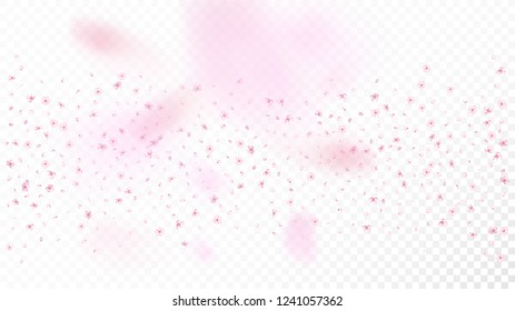 Nice Sakura Blossom Isolated Vector. Pastel Falling 3d Petals Wedding Texture. Japanese Nature Flowers Illustration. Valentine, Mother's Day Pastel Nice Sakura Blossom Isolated on White