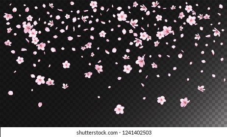 Nice Sakura Blossom Isolated Vector. Feminine Flying 3d Petals Wedding Border. Japanese Beauty Spa Flowers Illustration. Valentine, Mother's Day Realistic Nice Sakura Blossom Isolated on Black