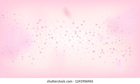 Nice Sakura Blossom Isolated Vector. Spring Falling 3d Petals Wedding Texture. Japanese Oriental Flowers Wallpaper. Valentine, Mother's Day Tender Nice Sakura Blossom Isolated on Rose