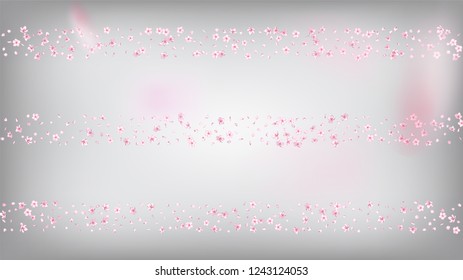 Nice Sakura Blossom Isolated Vector. Spring Showering 3d Petals Wedding Frame. Japanese Nature Flowers Illustration. Valentine, Mother's Day Tender Nice Sakura Blossom Isolated on White