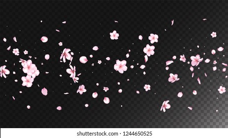 Nice Sakura Blossom Isolated Vector. Beautiful Flying 3d Petals Wedding Texture. Japanese Gradient Flowers Illustration. Valentine, Mother's Day Pastel Nice Sakura Blossom Isolated on Black