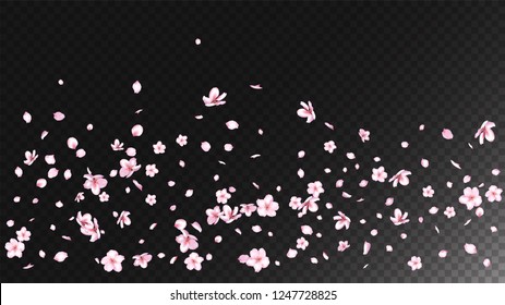 Nice Sakura Blossom Isolated Vector. Feminine Blowing 3d Petals Wedding Border. Japanese Beauty Spa Flowers Illustration. Valentine, Mother's Day Tender Nice Sakura Blossom Isolated on Black