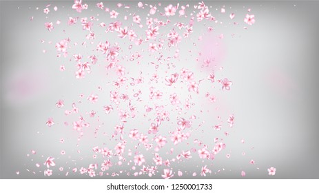 Nice Sakura Blossom Isolated Vector. Spring Showering 3d Petals Wedding Texture. Japanese Gradient Flowers Wallpaper. Valentine, Mother's Day Realistic Nice Sakura Blossom Isolated on White