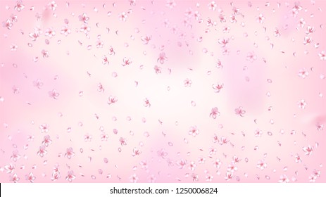 Nice Sakura Blossom Isolated Vector. Tender Showering 3d Petals Wedding Pattern. Japanese Oriental Flowers Illustration. Valentine, Mother's Day Watercolor Nice Sakura Blossom Isolated on Rose