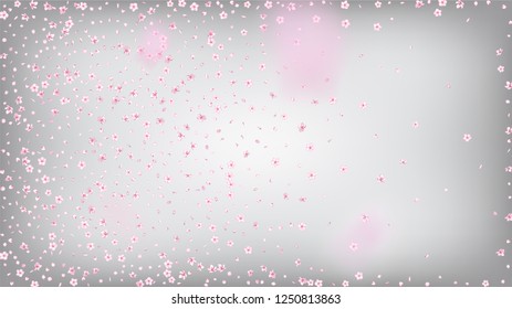 Nice Sakura Blossom Isolated Vector. Tender Flying 3d Petals Wedding Paper. Japanese Bokeh Flowers Illustration. Valentine, Mother's Day Watercolor Nice Sakura Blossom Isolated on White