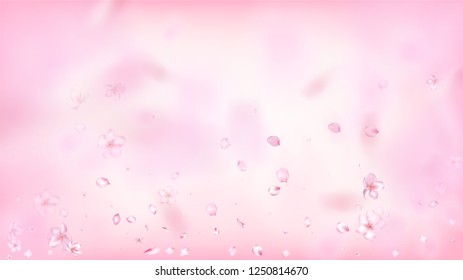 Nice Sakura Blossom Isolated Vector. Summer Falling 3d Petals Wedding Pattern. Japanese Funky Flowers Wallpaper. Valentine, Mother's Day Magic Nice Sakura Blossom Isolated on Rose