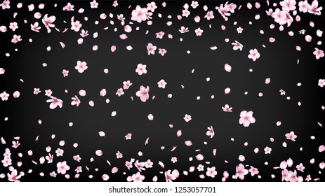 Nice Sakura Blossom Isolated Vector. Magic Blowing 3d Petals Wedding Design. Japanese Beauty Spa Flowers Wallpaper. Valentine, Mother's Day Beautiful Nice Sakura Blossom Isolated on Black