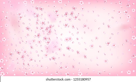 Nice Sakura Blossom Isolated Vector. Feminine Showering 3d Petals Wedding Texture. 