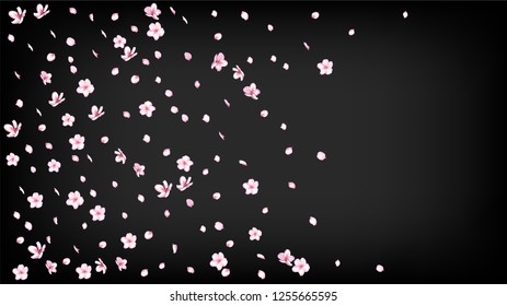 Nice Sakura Blossom Isolated Vector. Summer Blowing 3d Petals Wedding Texture. Japanese Funky Flowers Wallpaper. 