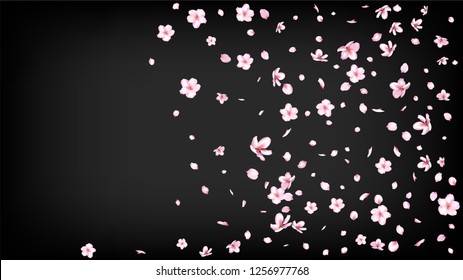 Niza Sakura Blossom Vector Aislado. Borde de de casamiento de mantas de color agua que vuelan en 3d. Flores De Spa Belleza Japonés Ilustración. San Valentín, el mágico día de la madre, el florecimiento del sakura aislado en negro