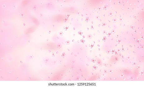 Nice Sakura Blossom Isolated Vector. Spring Flying 3d Petals Wedding Texture. Japanese Bokeh Flowers Illustration. Valentine, Mother's Day Beautiful Nice Sakura Blossom Isolated on Rose