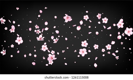 Nice Sakura Blossom Isolated Vector. Magic Flying 3d Petals Wedding Texture. Japanese Gradient Flowers Illustration. Valentine, Mother's Day Spring Nice Sakura Blossom Isolated on Black