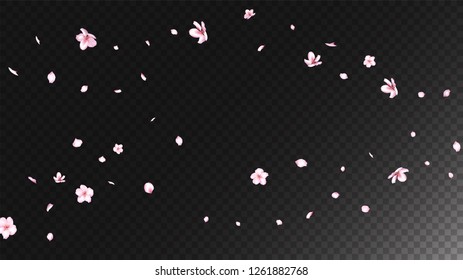 Nice Sakura Blossom Isolated Vector. Realistic Falling 3d Petals Wedding Frame. Japanese Oriental Flowers Illustration. Valentine, Mother's Day Watercolor Nice Sakura Blossom Isolated on Black