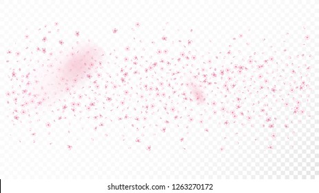 Nice Sakura Blossom Isolated Vector. Realistic Blowing 3d Petals Wedding Texture. Japanese Beauty Spa Flowers Illustration. Valentine, Mother's Day Spring Nice Sakura Blossom Isolated on White