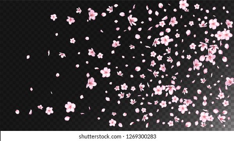 Nice Sakura Blossom Isolated Vector. Spring Falling 3d Petals Wedding Border. Japanese Blooming Flowers Wallpaper. Valentine, Mother's Day Tender Nice Sakura Blossom Isolated on Black