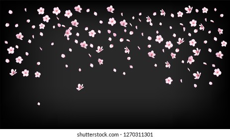 Nice Sakura Blossom Isolated Vector. Summer Falling 3d Petals Wedding Border. Japanese Style Flowers Illustration. Valentine, Mother's Day Tender Nice Sakura Blossom Isolated on Black
