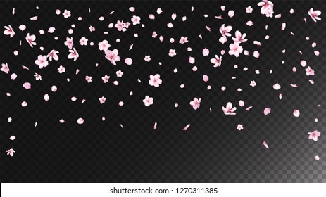 Nice Sakura Blossom Isolated Vector. Realistic Blowing 3d Petals Wedding Paper. Japanese Blooming Flowers Illustration. Valentine, Mother's Day Spring Nice Sakura Blossom Isolated on Black