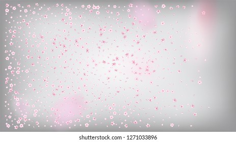 Nice Sakura Blossom Isolated Vector. Spring Flying 3d Petals Wedding Pattern. Japanese Nature Flowers Illustration. Valentine, Mother's Day Pastel Nice Sakura Blossom Isolated on White