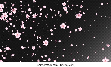 Nice Sakura Blossom Isolated Vector. Feminine Blowing 3d Petals Wedding Border. Japanese Beauty Spa Flowers Illustration. Valentine, Mother's Day Magic Nice Sakura Blossom Isolated on Black