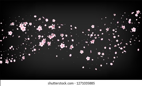 Nice Sakura Blossom Isolated Vector. Beautiful Falling 3d Petals Wedding Paper. Japanese Blooming Flowers Illustration. Valentine, Mother's Day Spring Nice Sakura Blossom Isolated on Black