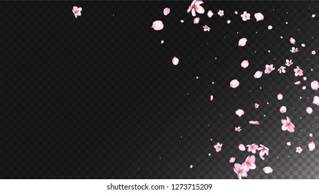 Nice Sakura Blossom Isolated Vector. Realistic Blowing 3d Petals Wedding Design. Japanese Gradient Flowers Wallpaper. Valentine, Mother's Day Magic Nice Sakura Blossom Isolated on Black