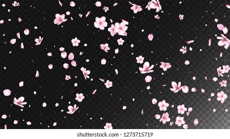 Nice Sakura Blossom Isolated Vector. Feminine Flying 3d Petals Wedding Design. Japanese Funky Flowers Wallpaper. Valentine, Mother's Day Realistic Nice Sakura Blossom Isolated on Black