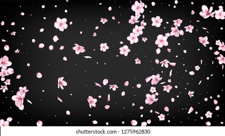 Nice Sakura Blossom Isolated Vector. Magic Blowing 3d Petals Wedding Frame. Japanese Bokeh Flowers Illustration. Valentine, Mother's Day Beautiful Nice Sakura Blossom Isolated on Black
