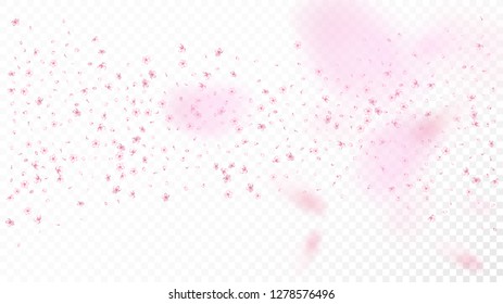 Nice Sakura Blossom Isolated Vector. Spring Showering 3d Petals Wedding Texture. Japanese Funky Flowers Wallpaper. Valentine, Mother's Day Spring Nice Sakura Blossom Isolated on White