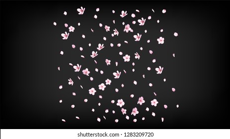 Nice Sakura Blossom Isolated Vector. Realistic Blowing 3d Petals Wedding Frame. Japanese Style Flowers Wallpaper. Valentine, Mother's Day Summer Nice Sakura Blossom Isolated on Black