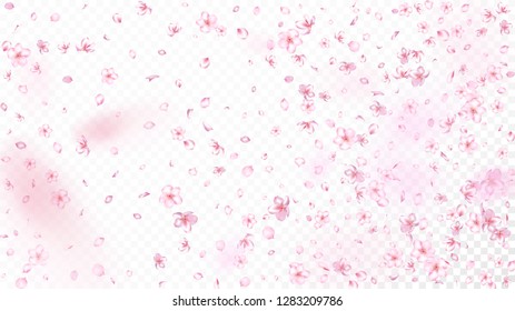 Nice Sakura Blossom Isolated Vector. Pastel Flying 3d Petals Wedding Texture. Japanese Nature Flowers Illustration. Valentine, Mother's Day Feminine Nice Sakura Blossom Isolated on White