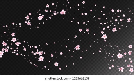 Nice Sakura Blossom Isolated Vector. Beautiful Falling 3d Petals Wedding Texture. Japanese Blurred Flowers Illustration. Valentine, Mother's Day Feminine Nice Sakura Blossom Isolated on Black