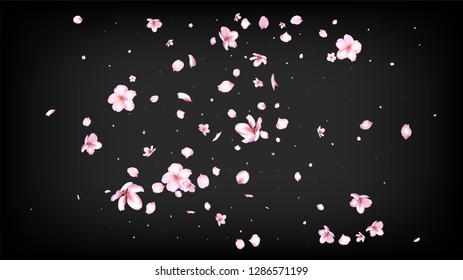 Nice Sakura Blossom Isolated Vector. Tender Blowing 3d Petals Wedding Frame. Japanese Oriental Flowers Illustration. Valentine, Mother's Day Magic Nice Sakura Blossom Isolated on Black