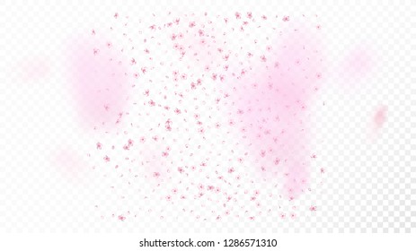 Nice Sakura Blossom Isolated Vector. Beautiful Flying 3d Petals Wedding Border. Japanese Oriental Flowers Illustration. Valentine, Mother's Day Pastel Nice Sakura Blossom Isolated on White