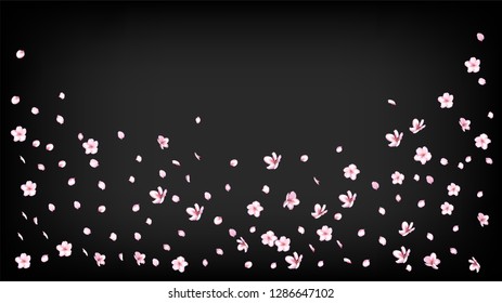 Nice Sakura Blossom Isolated Vector. Tender Showering 3d Petals Wedding Border. Japanese Gradient Flowers Illustration. Valentine, Mother's Day Realistic Nice Sakura Blossom Isolated on Black