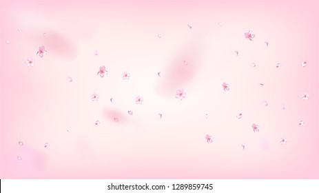 Nice Sakura Blossom Isolated Vector. Spring Blowing 3d Petals Wedding Border. Japanese Blurred Flowers Wallpaper. Valentine, Mother's Day Watercolor Nice Sakura Blossom Isolated on Rose